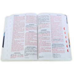 Biblia Reina Valera 1960 – 065 – Con Concordancia – Letra 12 pts – 14x21 cm – Índice – Águila