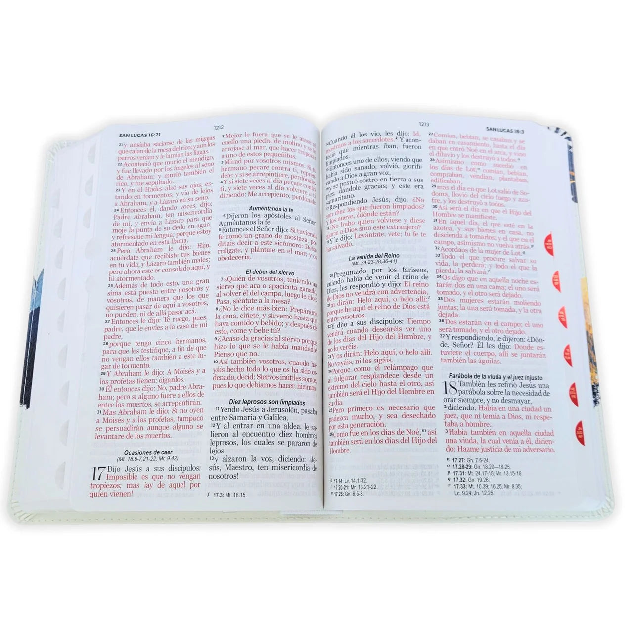 Biblia Reina Valera 1960 – 065 – Con Concordancia – Letra 12 pts – 14x21 cm – Índice – Águila