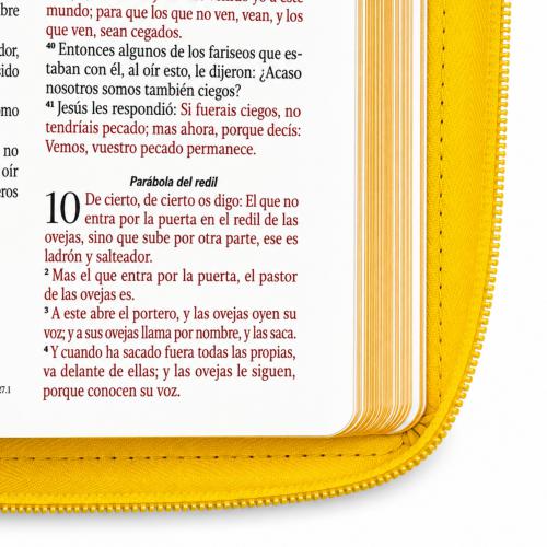 Biblia Reina Valera 1960 – Con Concordancia – Letra 11 pts – 16x23 cm – Palabras de Jesús en Rojo – Cierre – Amarillo Abejas