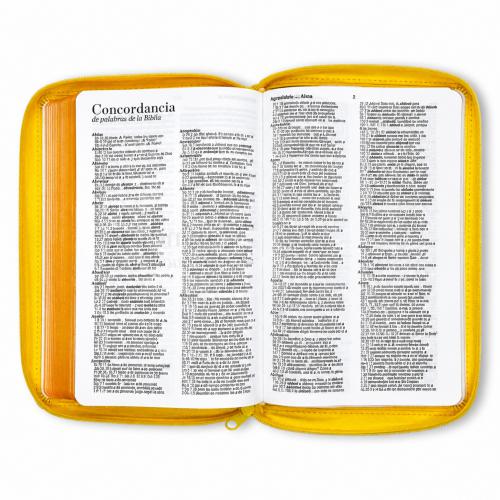 Biblia Reina Valera 1960 – Con Concordancia – Letra 11 pts – 16x23 cm – Palabras de Jesús en Rojo – Cierre – Amarillo Abejas