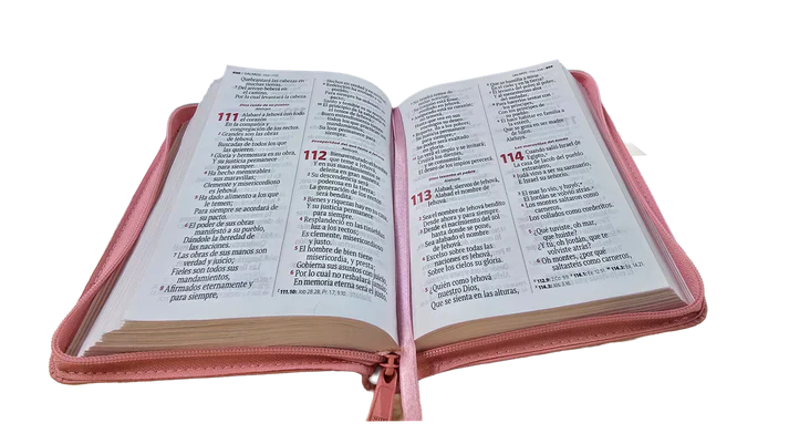 Biblia Reina Valera 1960 – 046 – Letra 12 pts  Grande  – 13,5x17,5 cm – Palabras de Jesús en Rojo – Tapa PU con Cierre – Rosado – Canto Metálico