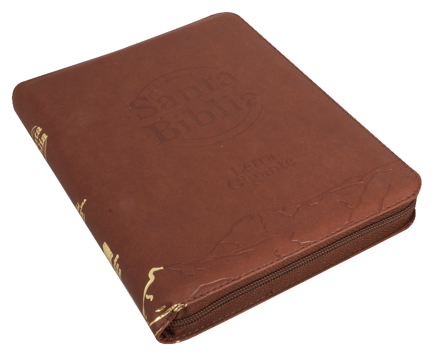 Biblia Reina Valera 1960 – 086C – Letra 14 pts – 18x24,5 cm – Palabras de Jesús en Rojo – Cierre con Índice – Marron