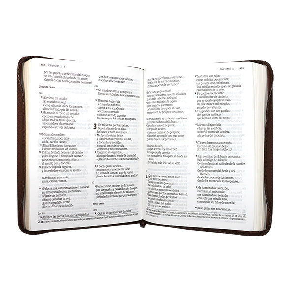 Biblia Dios Habla Hoy – 086DK – Letra 15 pts Gigante – 19,5x25 cm – Deuterocanónicos - Cierre – Tapa PU Marrón