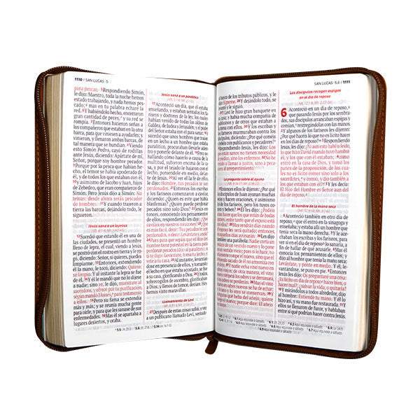 Biblia Reina Valera 1960 – 066 – Letra 12 pts Grande  – 13,5x21 cm – Palabras de Jesús en Rojo – Tapa PU – El Camino, la Verdad y la Vida – Marron