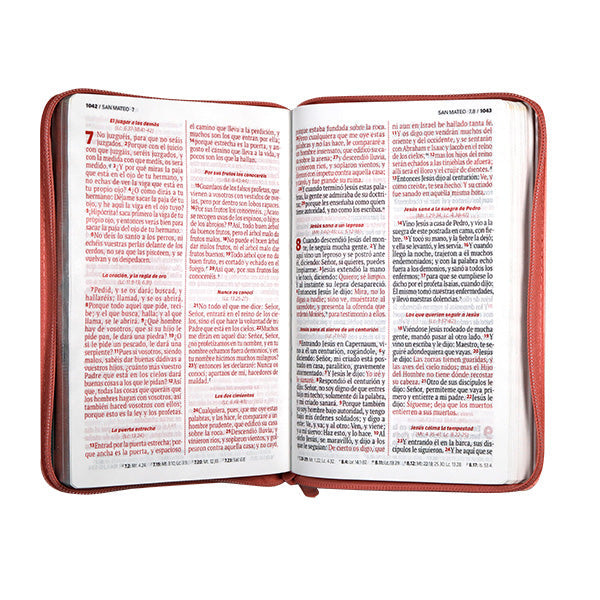 Biblia Reina Valera 1960 – 066 – Letra 12 pts Grande – 13x21 cm – Palabras de Jesús en Rojo – Tapa PU – El Camino, la Verdad y la Vida – Rosa