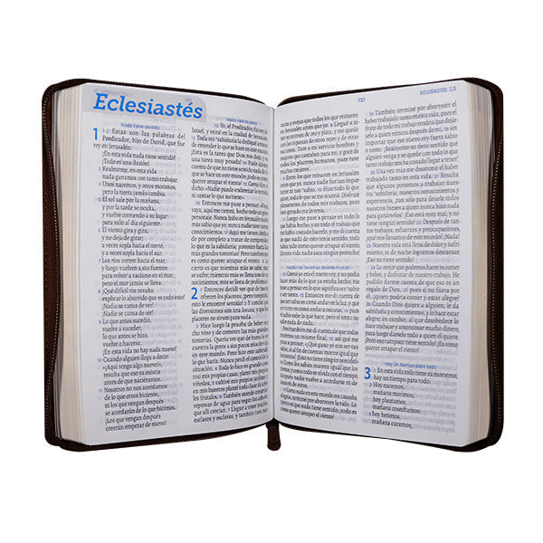 Biblia Traducción en Lenguaje Actual – 066 – Letra 11 pts – 14x21 cm – Palabras de Jesús en Rojo – Cierre – Tapa PU Marron