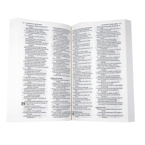 Biblia 1M Económica Dios Habla Hoy – Tapa Cartulina Verde, con Índice, 14 x 21 cm, Letra 8 Puntos