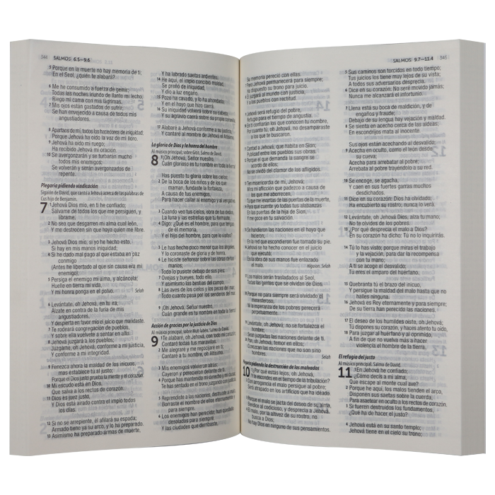 Biblia Reina Valera 1960 – Tapa Imitación Piel Flores Rosas, con Índice, 14 x 21 cm, Letra 8 Puntos