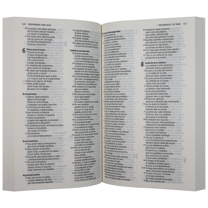 Biblia Traducción Lenguaje Actual – Tapa Cartulina Lila, con Índice, 14 x 21 cm, Letra 8 Puntos