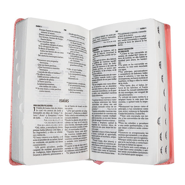 Biblia Reina Valera 1960 Abrojo Concordancia Rosa