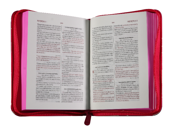 Biblia Reina Valera 1960 – 025 – Con Concordancia – Letra 8 pts – 10,5x14,5 cm – Palabras de Jesús en Rojo – Cierre – Fucsia