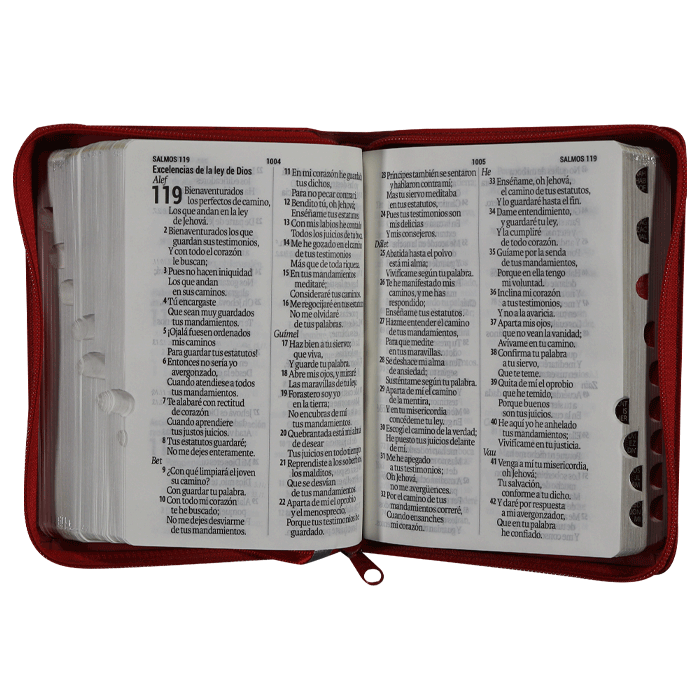 Biblia Reina Valera 1960 Letra Mayor 11 puntos Cierre Indice Tapa Pu Rojo