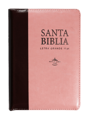 Biblia Reina Valera 1960 Letra Mayor Cierre Indice Marr/rosa