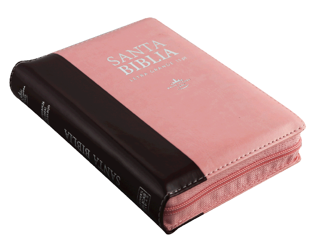 Biblia Reina Valera 1960 Letra Mayor Cierre Indice Marr/rosa