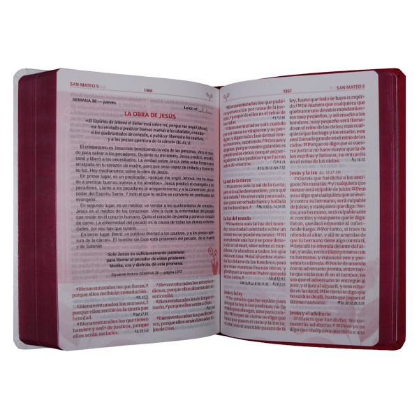 Biblia Temática Madres que Interceden Reina Valera 1960 – Tapa Imitación Piel Canto Plateado, Palabras de Jesús en Rojo, 14 x 20 cm, Letra 12 Puntos
