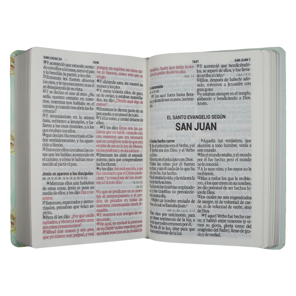 Biblia Reina Valera 1960 – Tapa Dura Lettering, Concordancia, PJR, 14 x 21 cm, Letra 10 Puntos