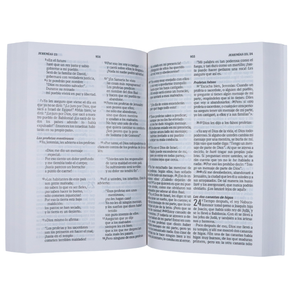 Biblia Encarcelados Traducción Lenguaje Actual – Tapa Cartulina Multicolor, 14 x 21 cm, Letra 9 Puntos