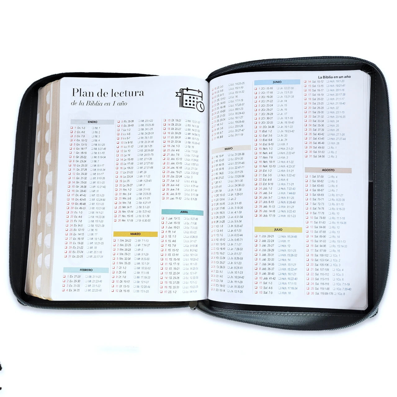Biblia Reina Valera 1960 – 085 – Con Concordancia – Letra 15 pts – 19x25 cm – Cierre con Índice – Negro/Gris – León
