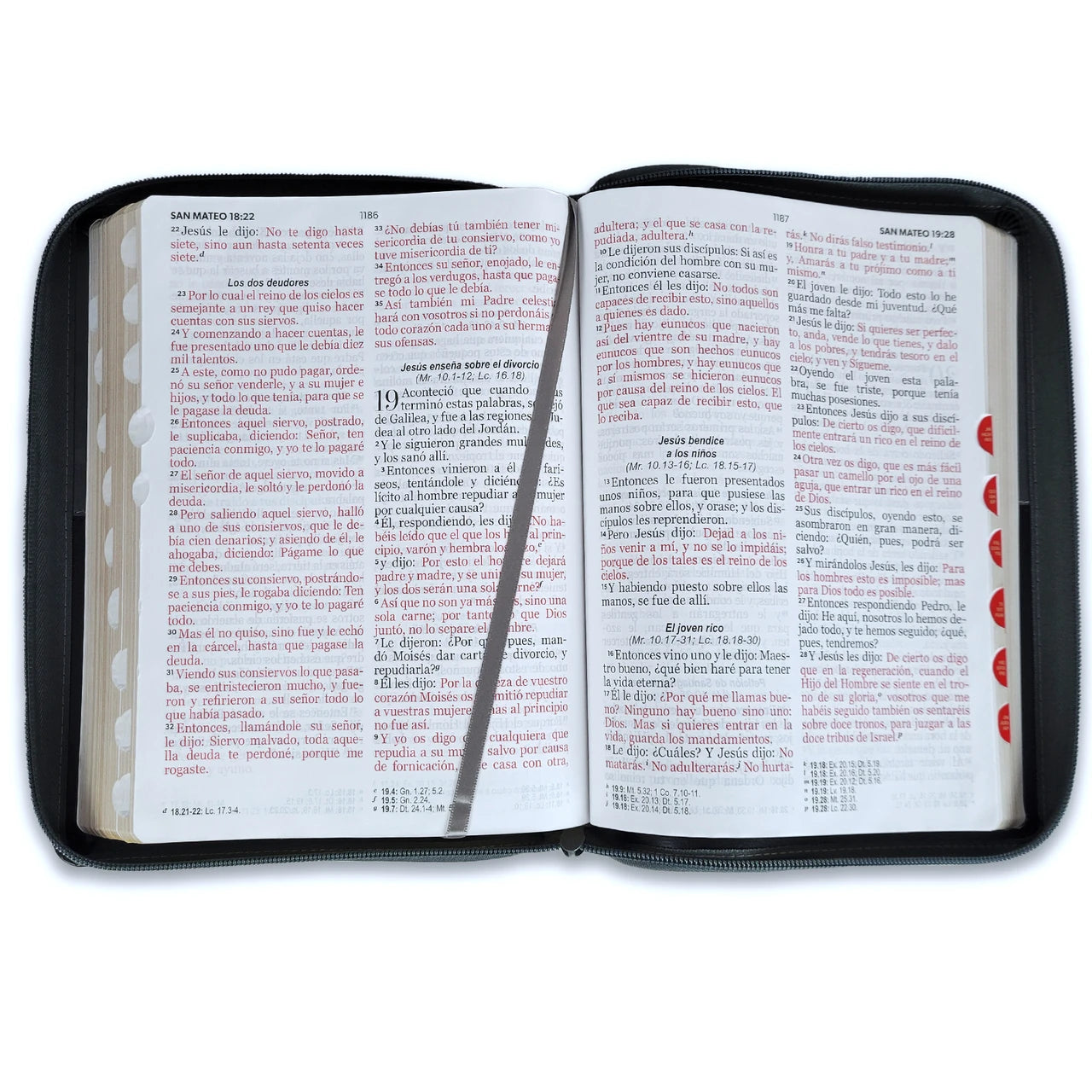Biblia Reina Valera 1960 – 085 – Con Concordancia – Letra 15 pts – 19x25 cm – Cierre con Índice – Negro/Gris – León