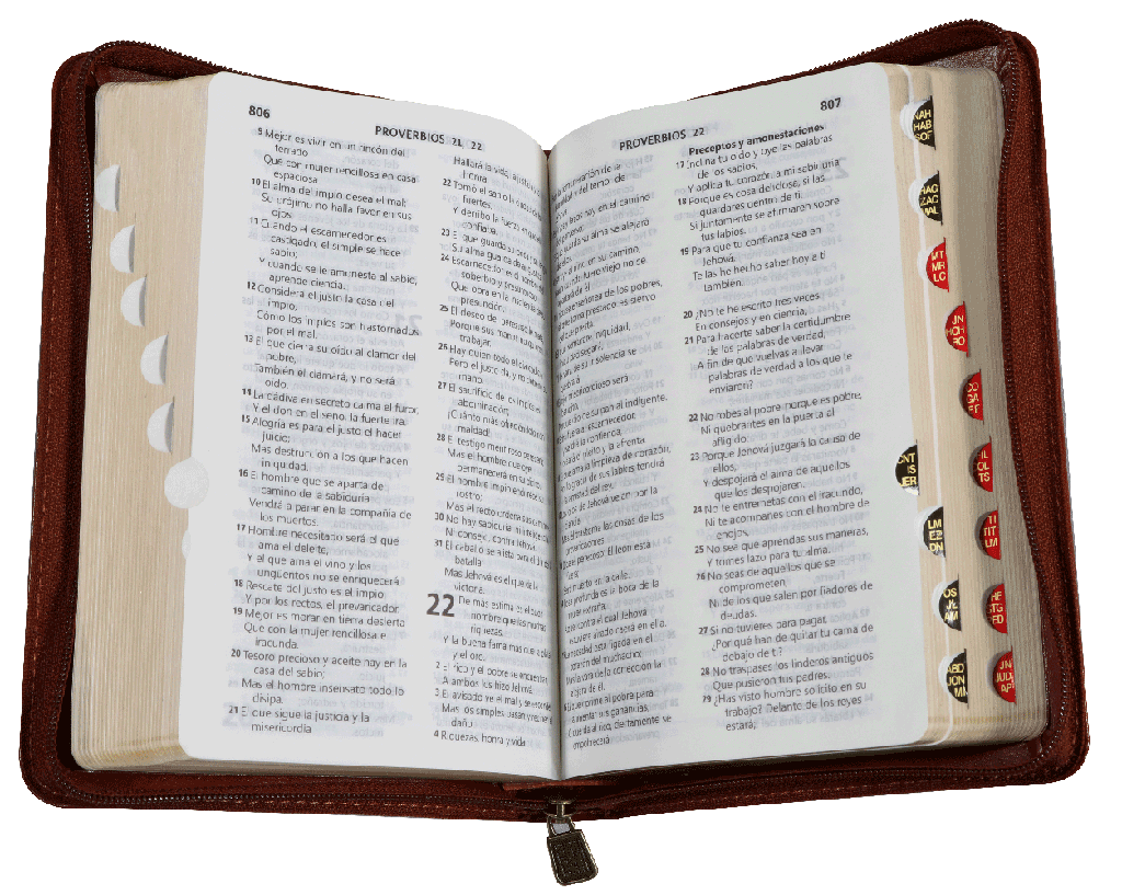 Biblia Reina Valera 1960 Letra Mediana Con Concordancia Con Cierre con Índice Color Café 11 x 16 cm