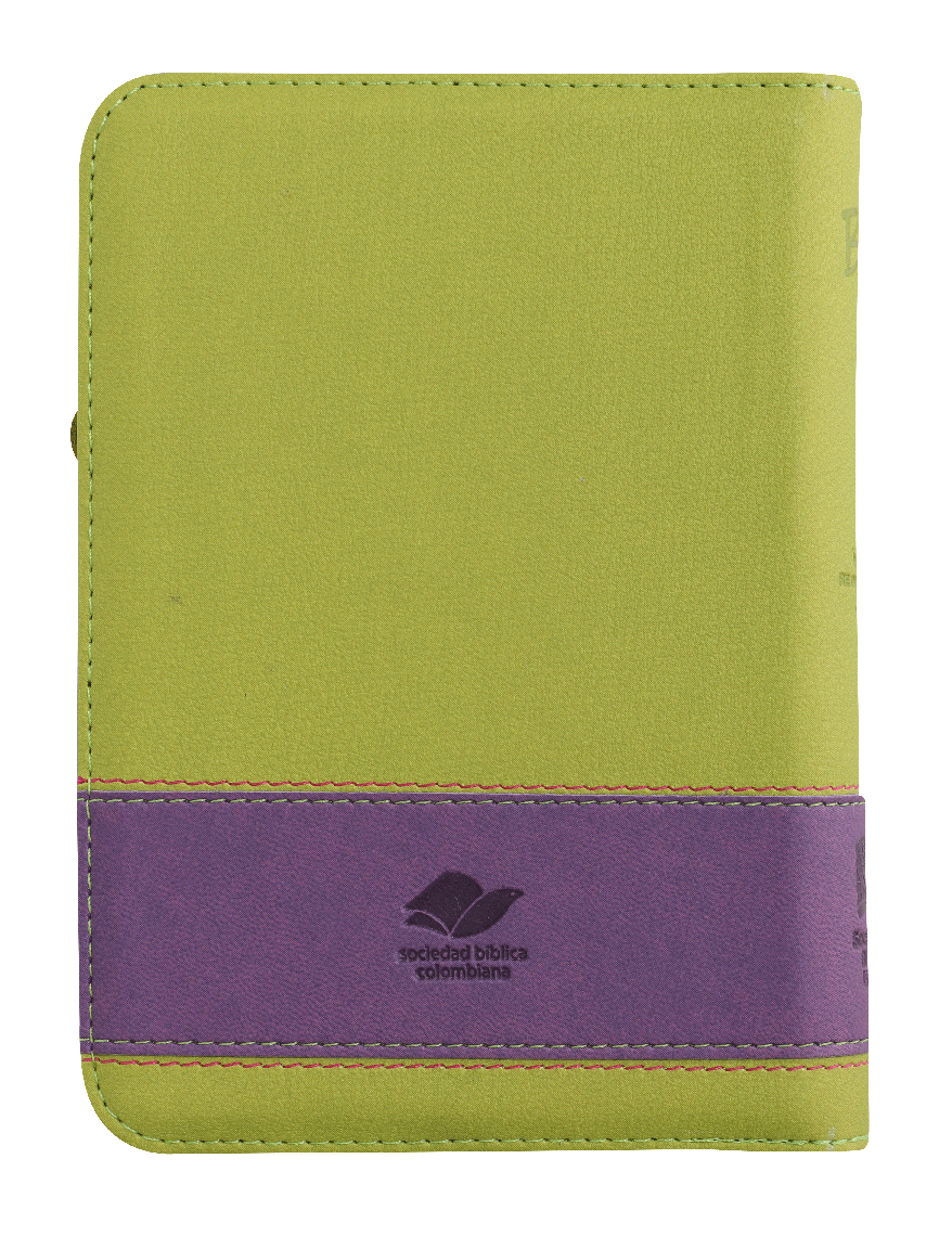 Biblia Reina Valera 1960 – 046 – Con Concordancia – Letra 9 pts – 12,5x17 cm – Palabras de Jesús en Rojo – Cierre – Flor Verde/Lila