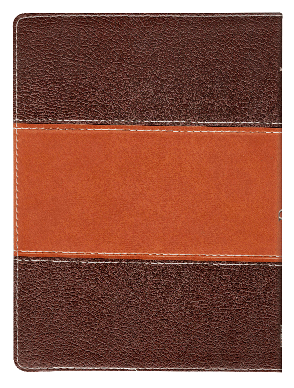 Biblia para la Predicación Reina Valera 1960 – Tapa Imitación Piel Marrón Bitono, con Índice, 17 x 23 cm, Letra 12 Puntos