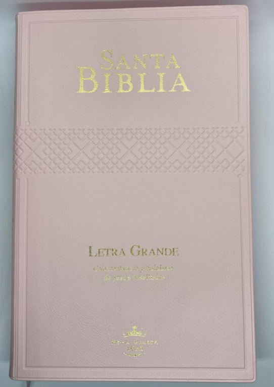 Biblia Reina Valera 1960 Letra Grande Concordancia Tapa Vinil Rosa Palabas de Jesús en Cursiva