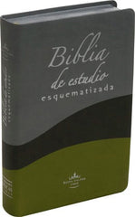 Biblia De Estudio Esquematizada De Lujo Reina Valera 1960