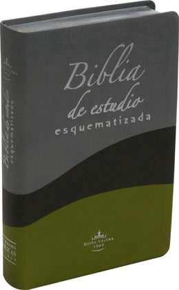 Biblia De Estudio Esquematizada De Lujo Reina Valera 1960