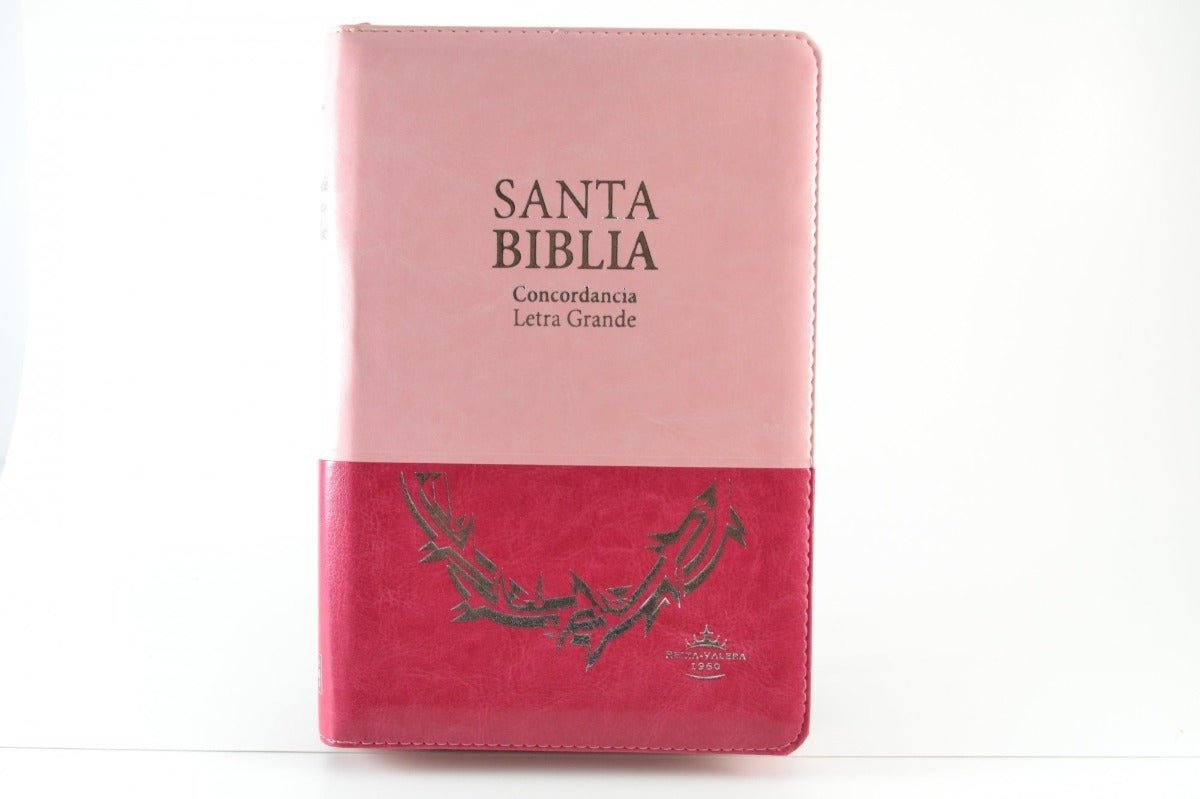 Biblia Reina Valera 1960 – Tapa Imitación Piel Rosa y Púrpura, con Cierre, Concordancia, Palabras de Jesús en Rojo, con Índice, 14 x 22 cm, Letra 12 Puntos