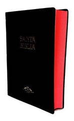 Biblia Reina Valera 1909 Tapa Blanda Negra