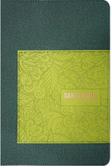 Biblia Tamaño Y Letra Grande Hi Verde Reina Valera 1960