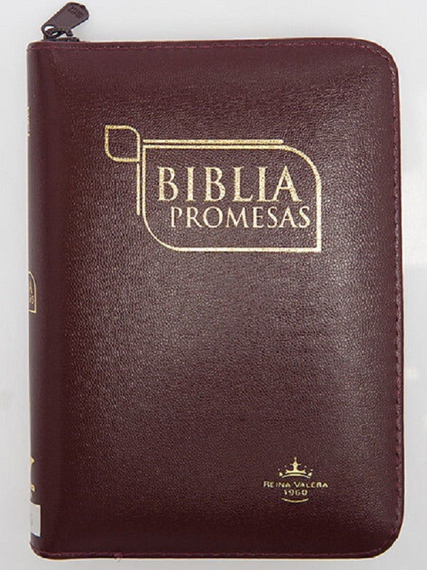 Biblia Reina Valera 1960 Cierre Canto Dorado Promesas Bordo