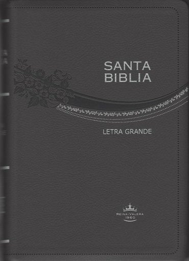 Biblia Letra Grande De Lujo Gris Reina Valera 1960