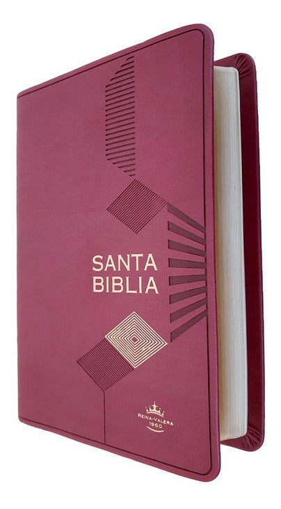 Biblia Mediana Mdm Letra Mayor Reina Valera 1960