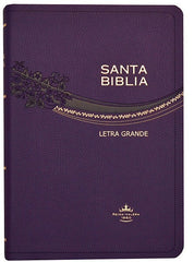 Biblia Letra Grande De Lujo Purpura Reina Valera 1960