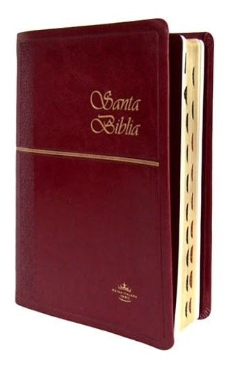 Biblia Grande Fina índice Bordo Tf Reina Valera 1960