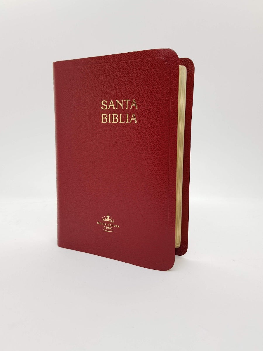 Biblia Bordó Canto Dorado Reina Valera 1960