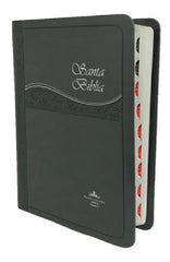 Biblia Reina Valera 1960 Concordancia Indice Cosy Gris