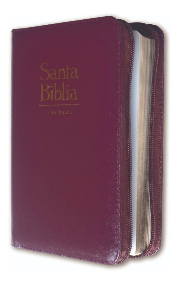 Biblia Letra Grande Bordo Cierre Y Dorado Reina Valera 1960