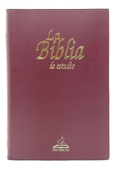 Biblia Dios Habla Hoy Estudio Deuterocanónicos Tapa Vinil