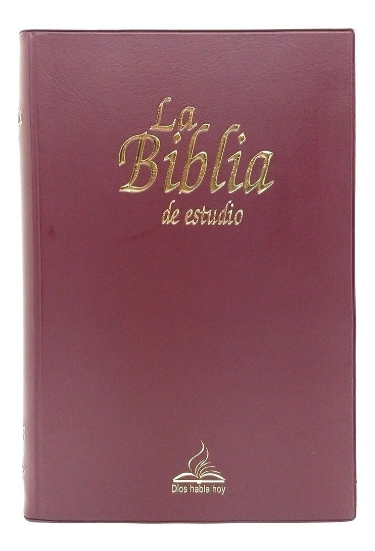 Biblia Dios Habla Hoy Estudio Deuterocanónicos Tapa Vinil