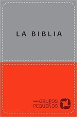 Biblia Para Grupos Pequeños Nueva Biblia Viva Edición Lujo