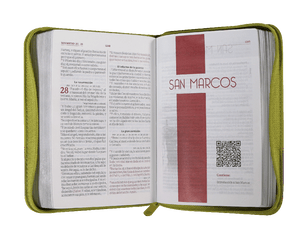 Biblia Reina Valera 1960 – 046 – Con Concordancia – Letra 9 pts – 12,5x17 cm – Palabras de Jesús en Rojo – Cierre – Flor Verde/Lila