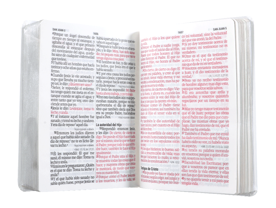 Biblia Reina Valera 1960 Letra Grande 14 Puntos Blanca