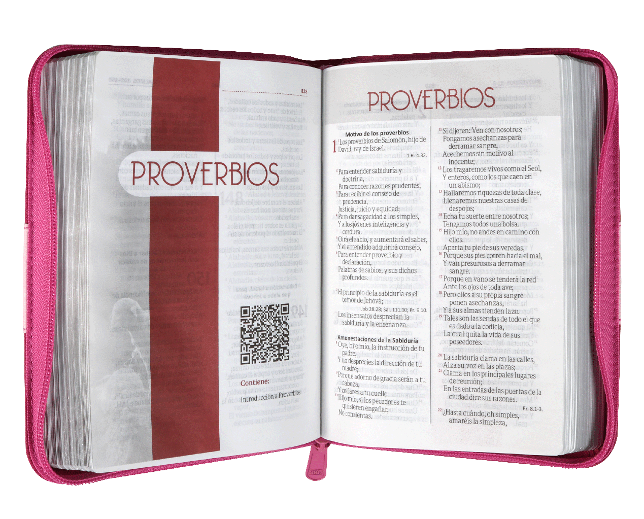 Biblia Reina Valera 1960 – 046 – Con Concordancia – Letra 9 pts – 12,5x17 cm – Palabras de Jesús en Rojo – Cierre – Fucsia/Rosa
