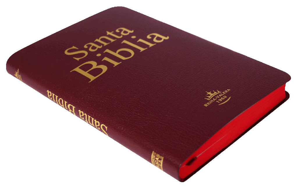 Biblia Reina Valera 1960 – Tapa Imitación Piel Bordó Covertext, 14 x 21 cm, Letra 9 Puntos