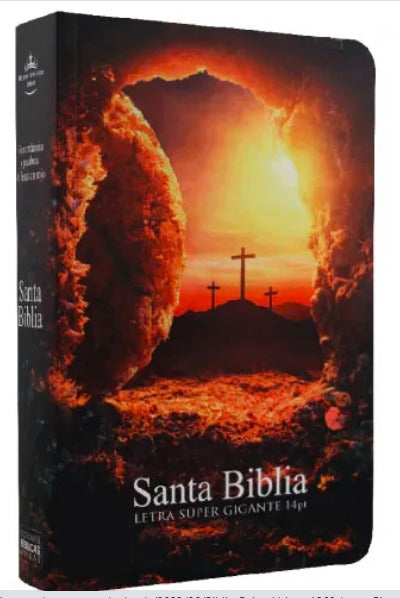 Biblia Reina Valera 1960 Piedra Removida Letra Gigante 14 puntos Concordancia Tapa Dura