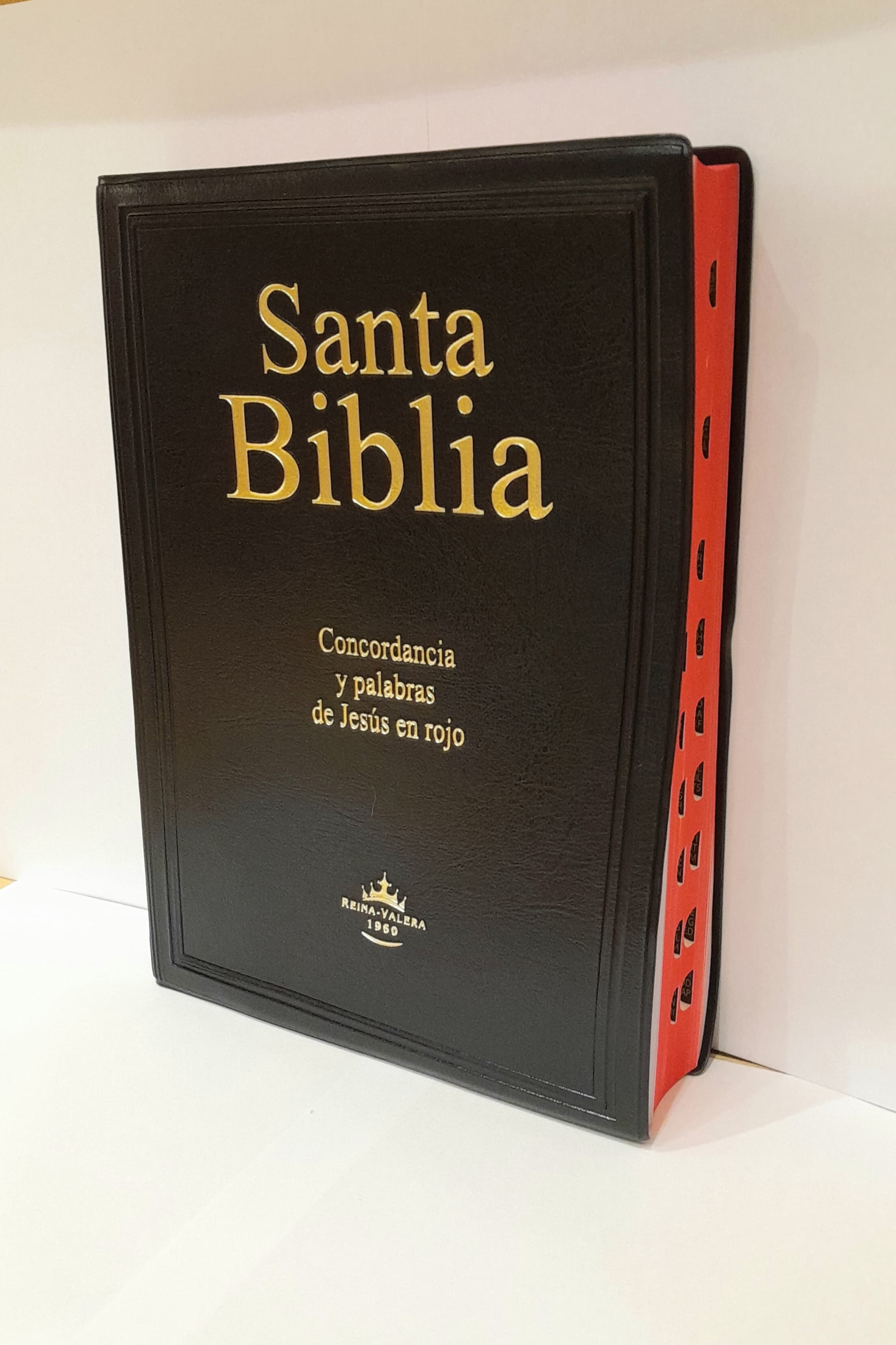 Biblia Reina Valera 1960 Letra Gigante Concordancia e Indice Tapa Blanda Negra