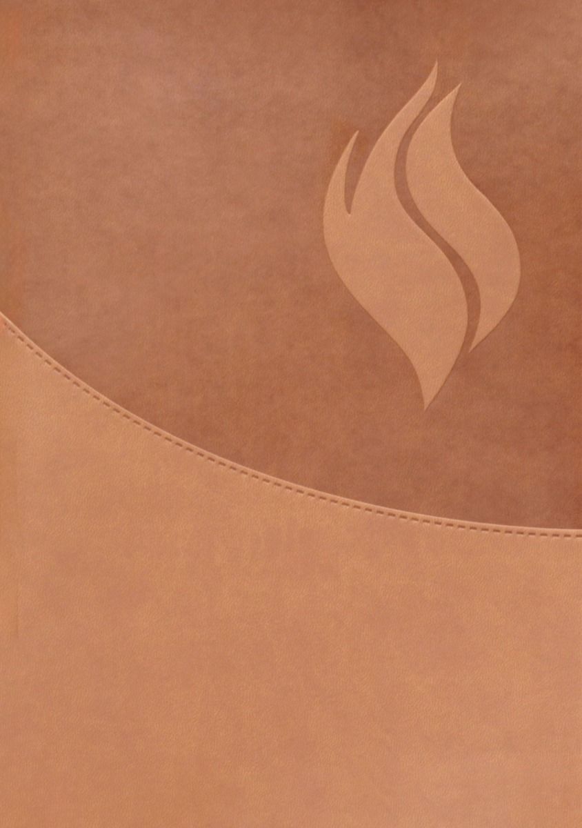 Biblia Vida Plena Reina Valera 1960 – Piel Marrón
